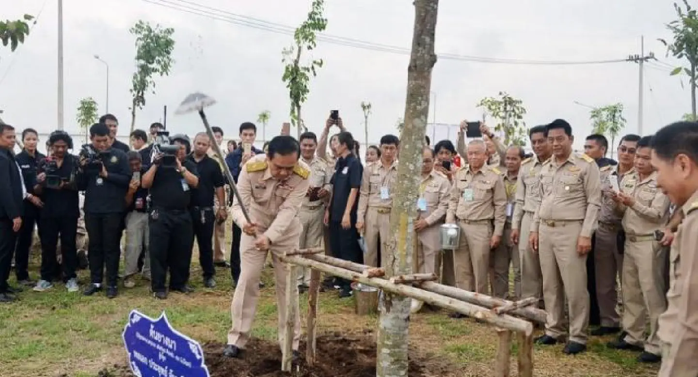 Trees planted in honour of Royal Family Trees planted in honour of Royal Family