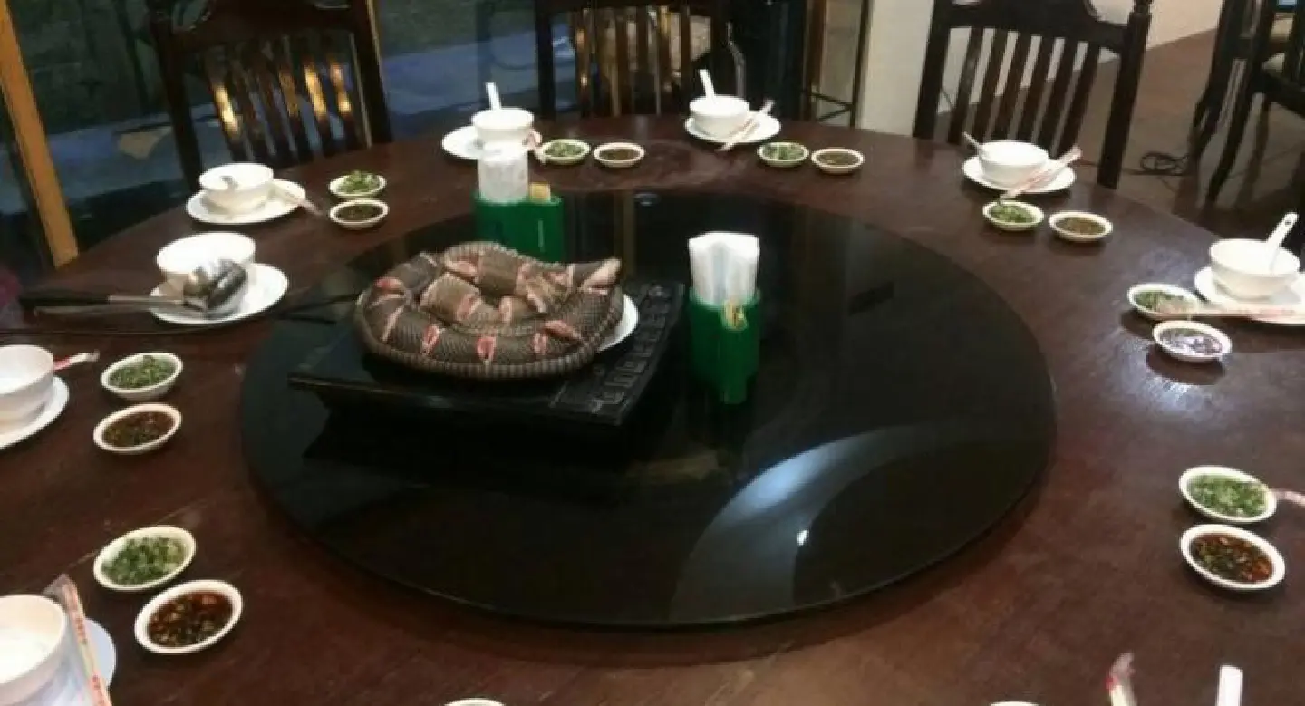 Bangkok snake restaurant raided, owner charged