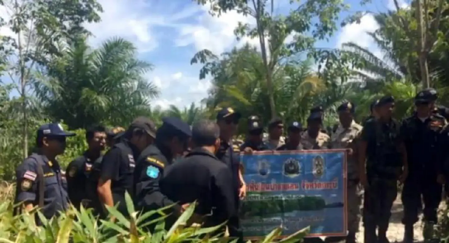 Big investors still destroying protected mangroves Big investors still destroying protected mangroves