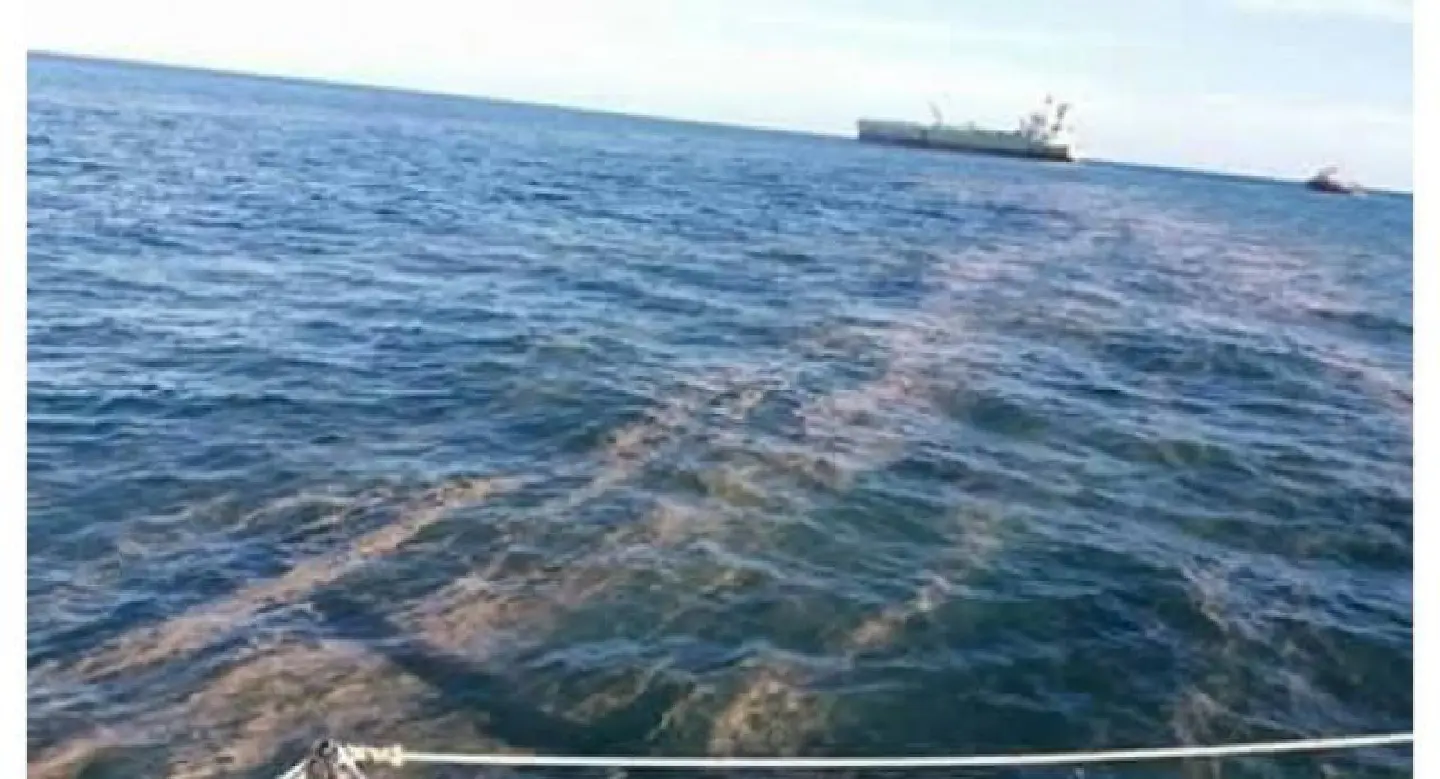 Suspected Rayong ‘oil leak’ is natural plankton bloom, says PTT subsidiary Suspected Rayong ‘oil leak’ is natural plankton bloom, says PTT subsidiary