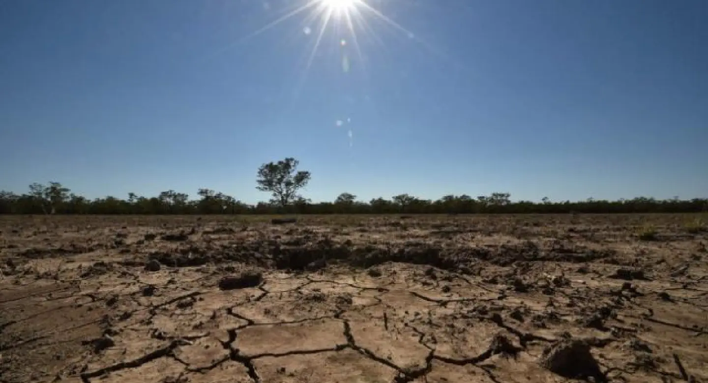 Climate change will cut crop yields: study Climate change will cut crop yields: study
