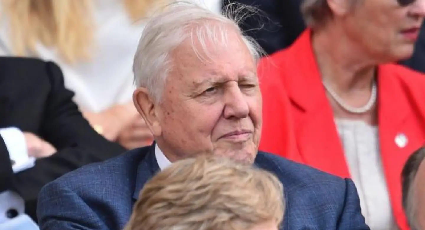 Naturalist David Attenborough earns his wings Naturalist David Attenborough earns his wings