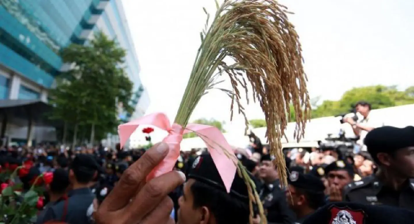 Prosecution cites agencies’ warnings on rice scheme to accuse Yingluck Prosecution cites agencies’ warnings on rice scheme to accuse Yingluck