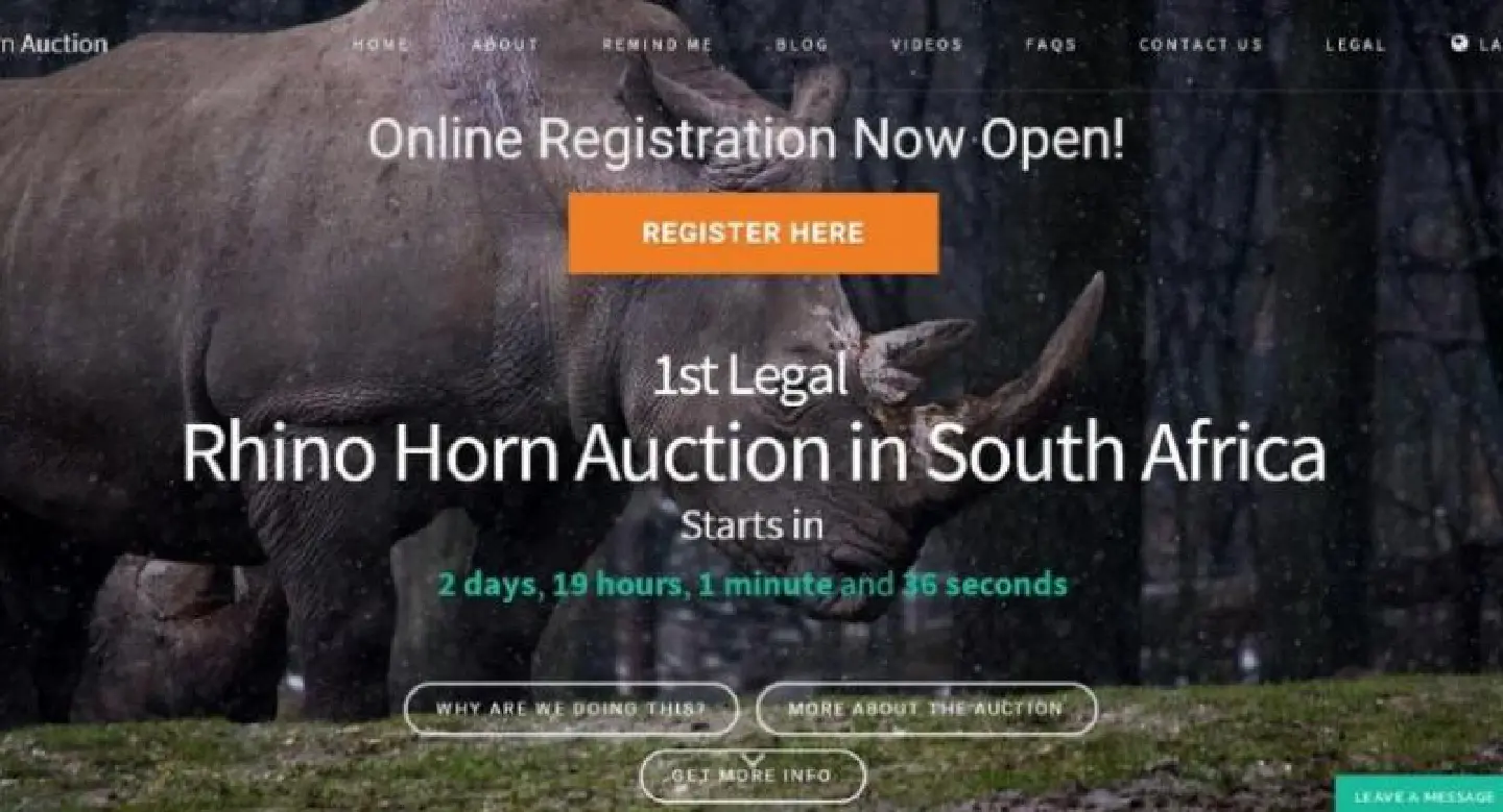 S.Africa opposes online rhino horn auction S.Africa opposes online rhino horn auction
