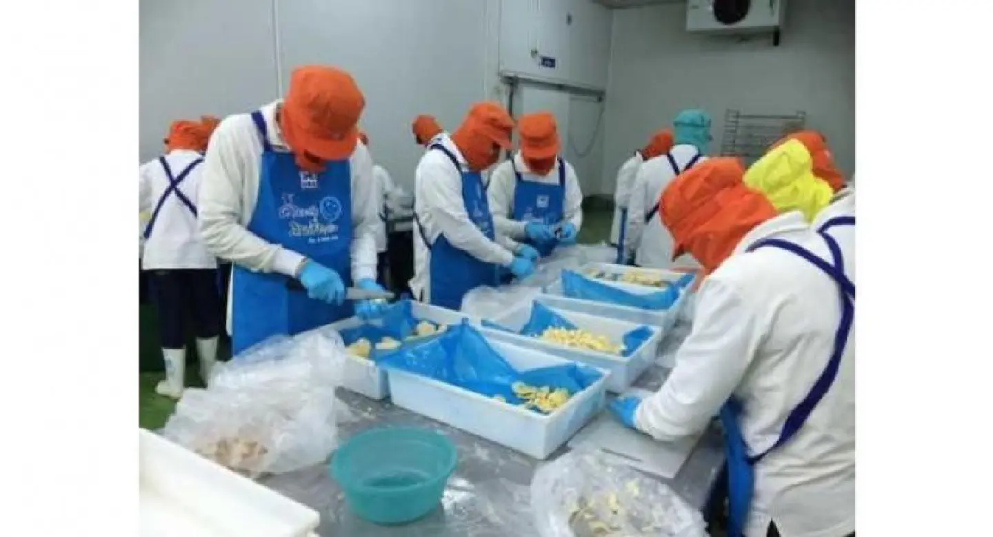 Durian farmer tastes success on value-added path Durian farmer tastes success on value-added path