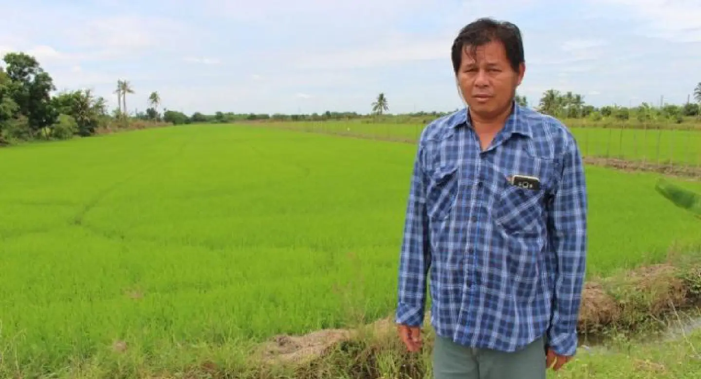 Farmers defend Yingluck scheme and ask for help Farmers defend Yingluck scheme and ask for help