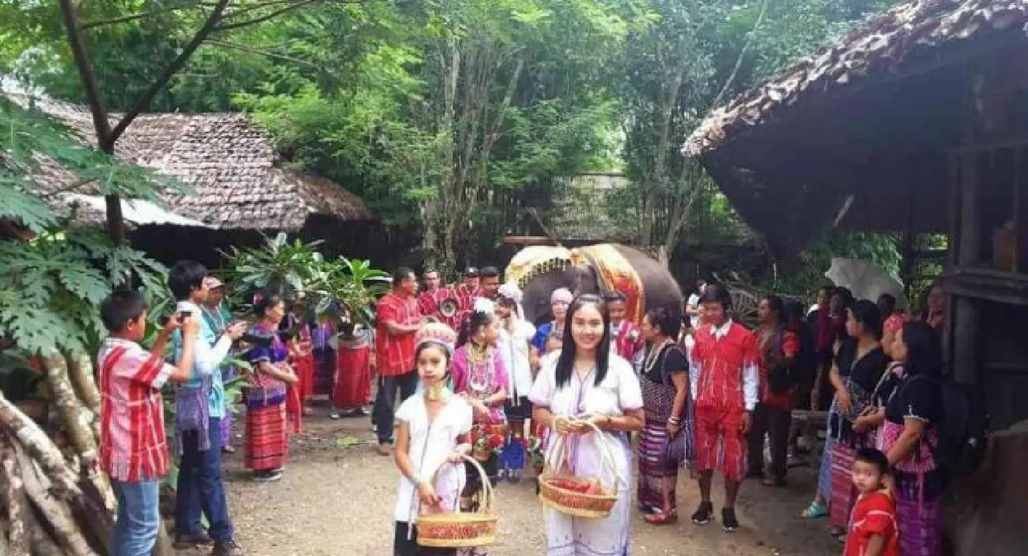 Japanese businesswoman marries Chiang Mai Karen mahout Japanese businesswoman marries Chiang Mai Karen mahout