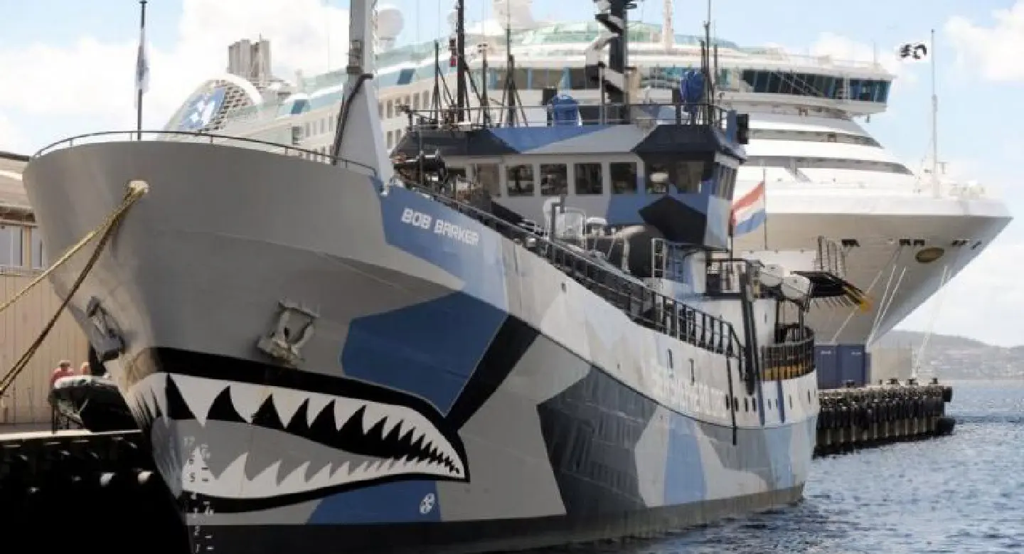 Sea Shepherd pulls plug on Japan whale hunt Sea Shepherd pulls plug on Japan whale hunt