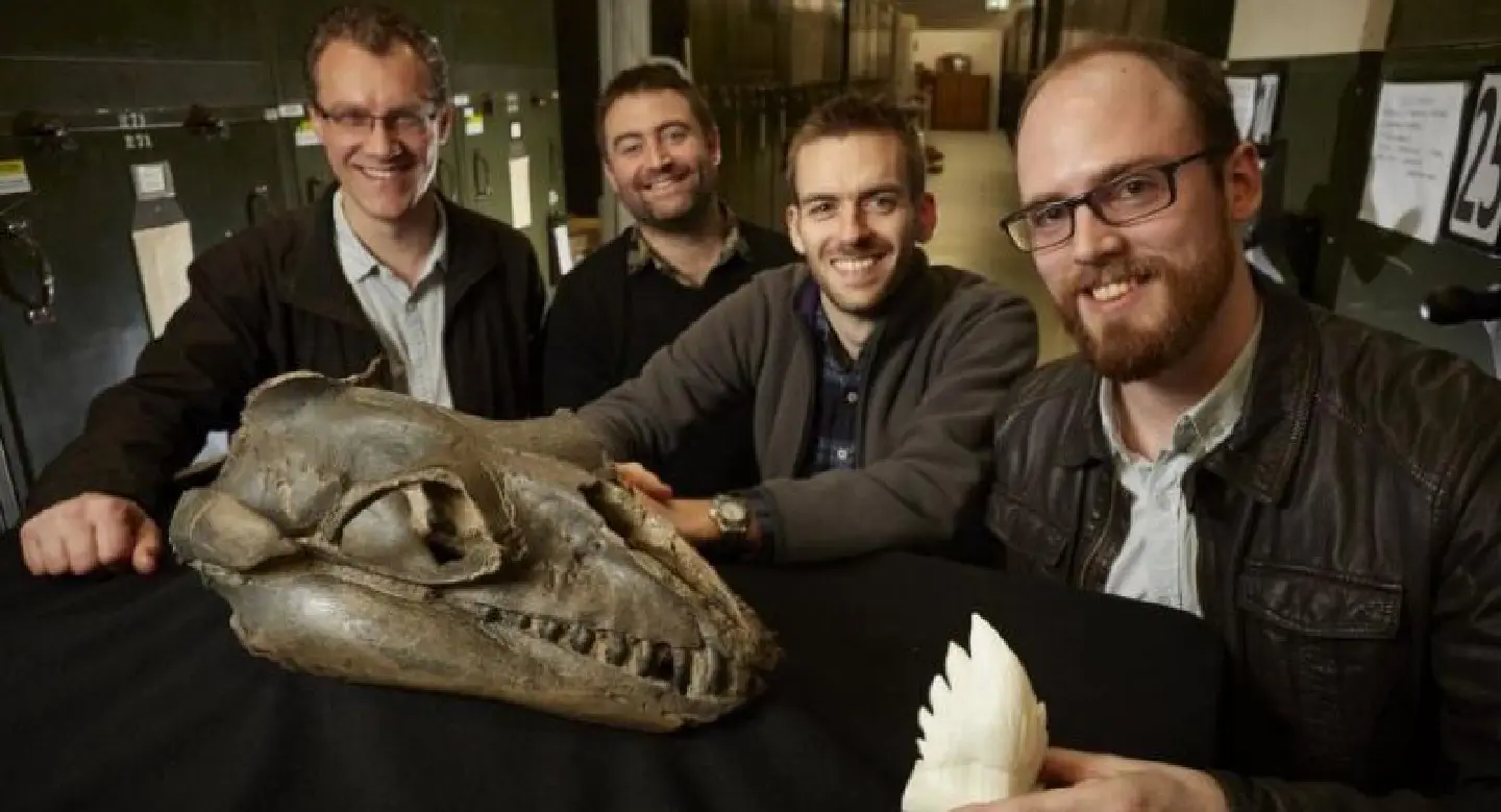 Ancient whales were predators not gentle giants - scientists Ancient whales were predators not gentle giants - scientists