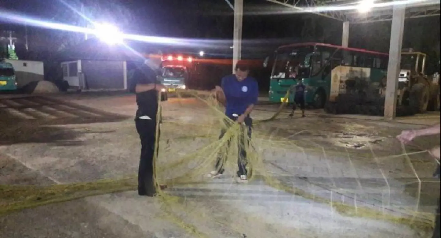 Phuket’s Croc Hunters