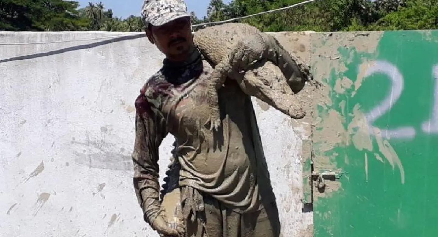 Hunt continues after mass croc escape