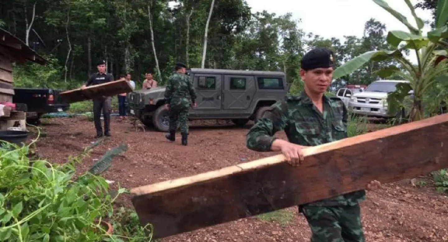 Suspect flees before police raid over illegal wood Suspect flees before police raid over illegal wood