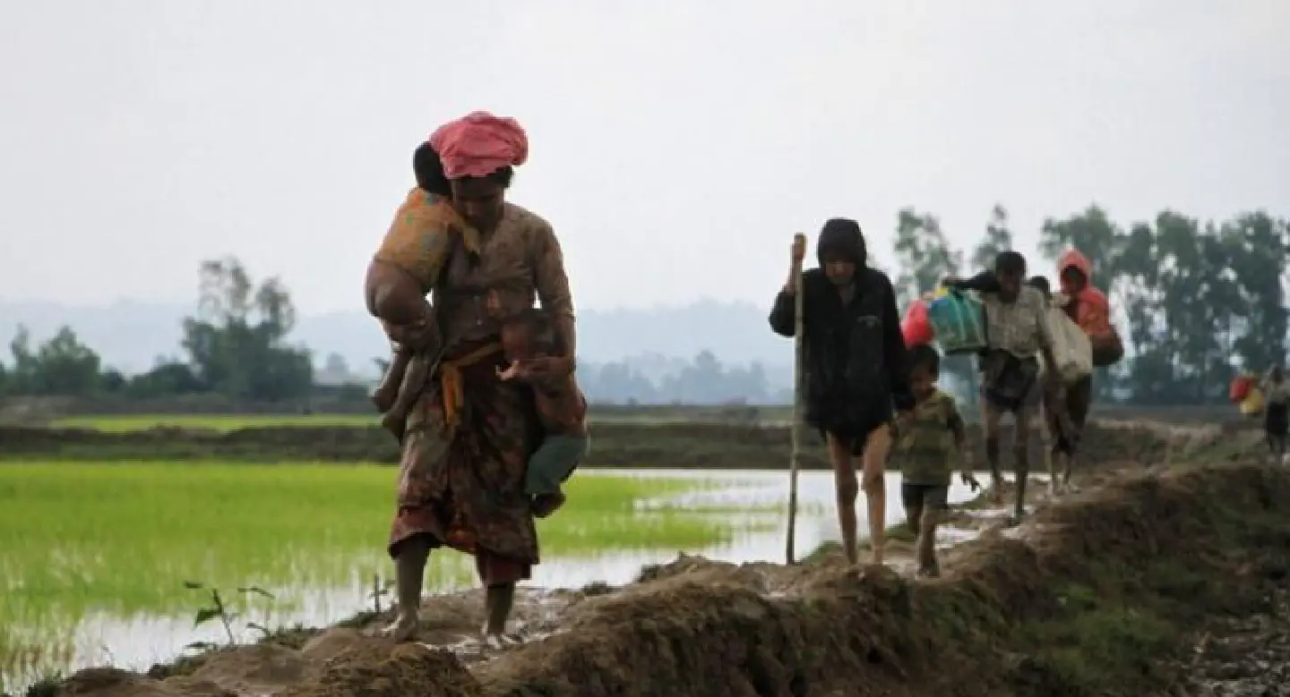 Indonesia seeks peace in Rakhine Indonesia seeks peace in Rakhine
