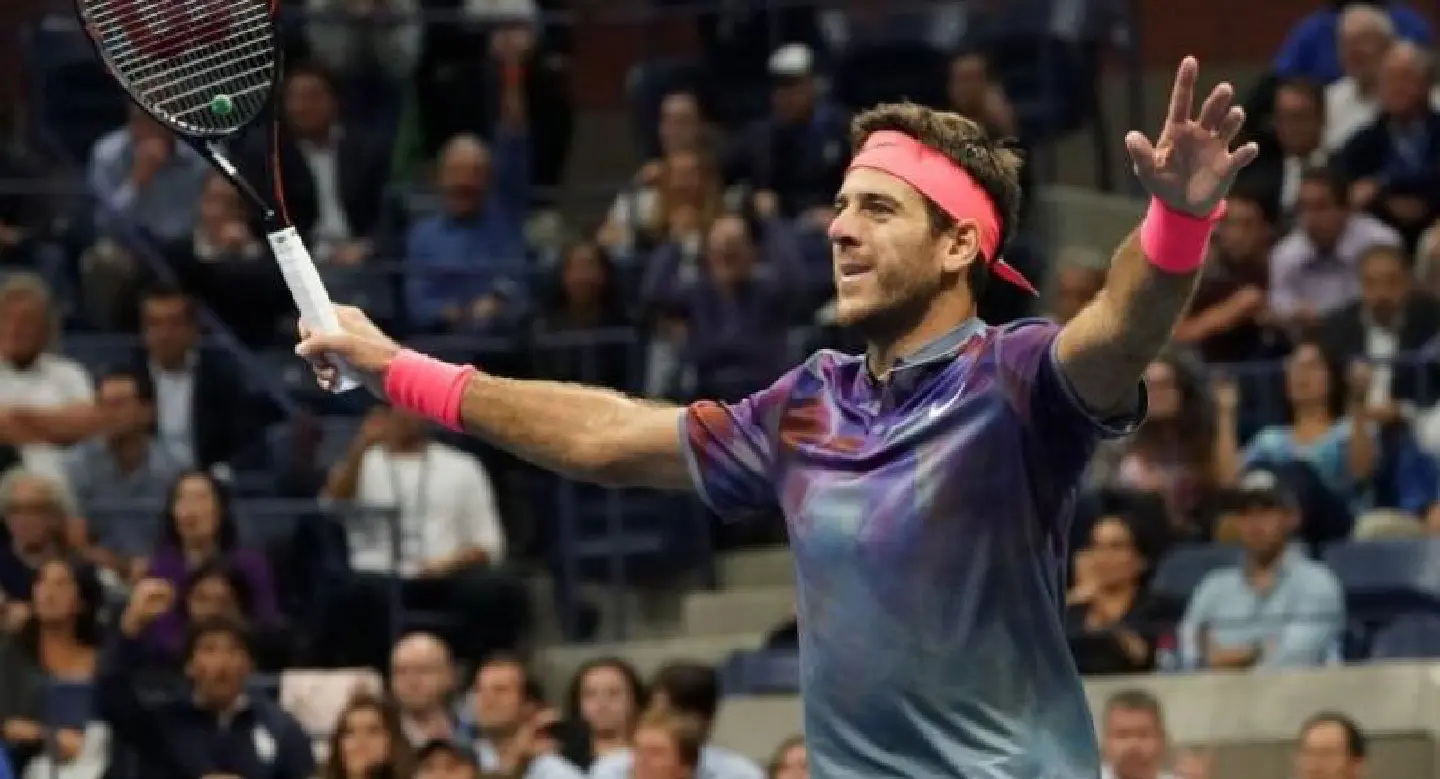 'I deserved to beat Federer', says 'lion' Del Potro 'I deserved to beat Federer', says 'lion' Del Potro