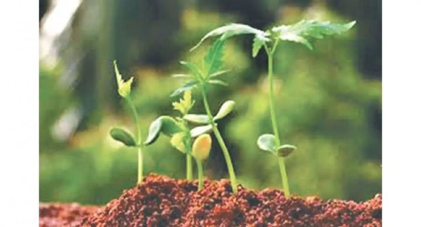 Biotechnological innovation Biotechnological innovation