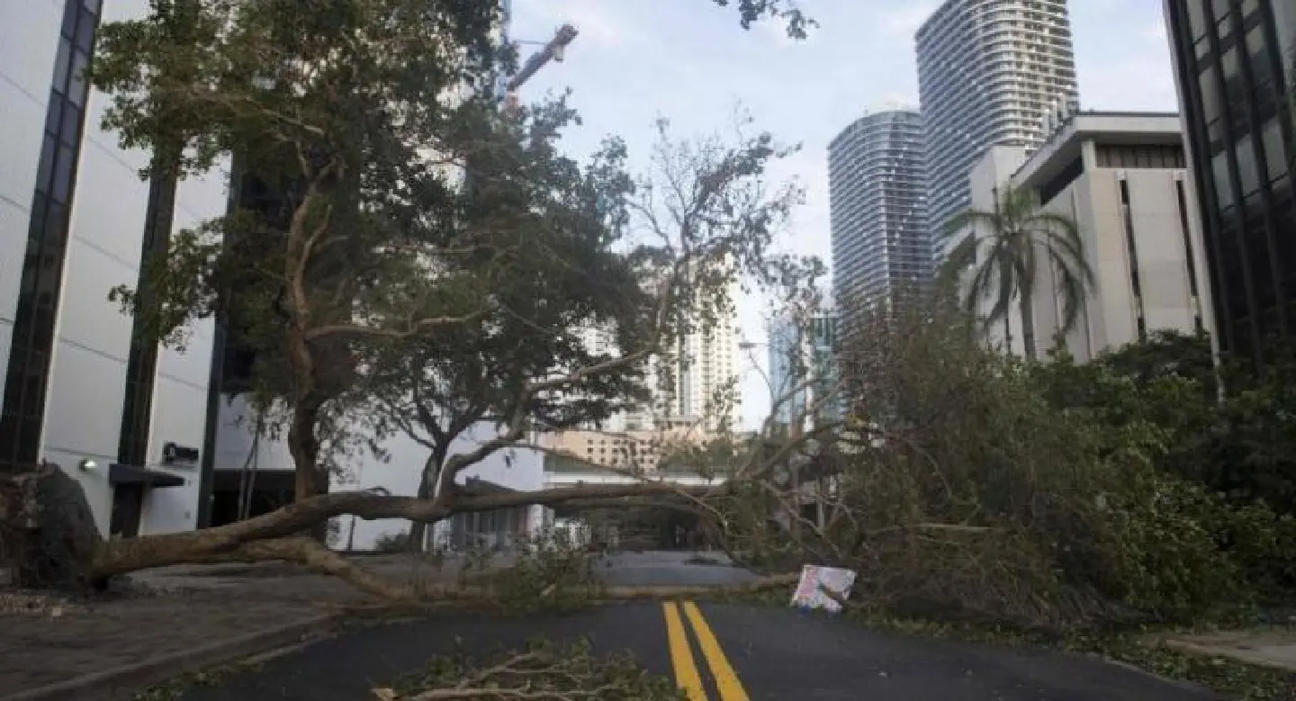 Irma weakens to tropical storm in Florida: forecasters Irma weakens to tropical storm in Florida: forecasters
