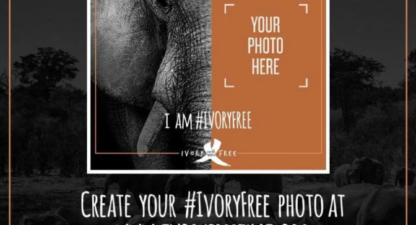 Thais go #IvoryFree with WildAid and USAID Thais go #IvoryFree with WildAid and USAID