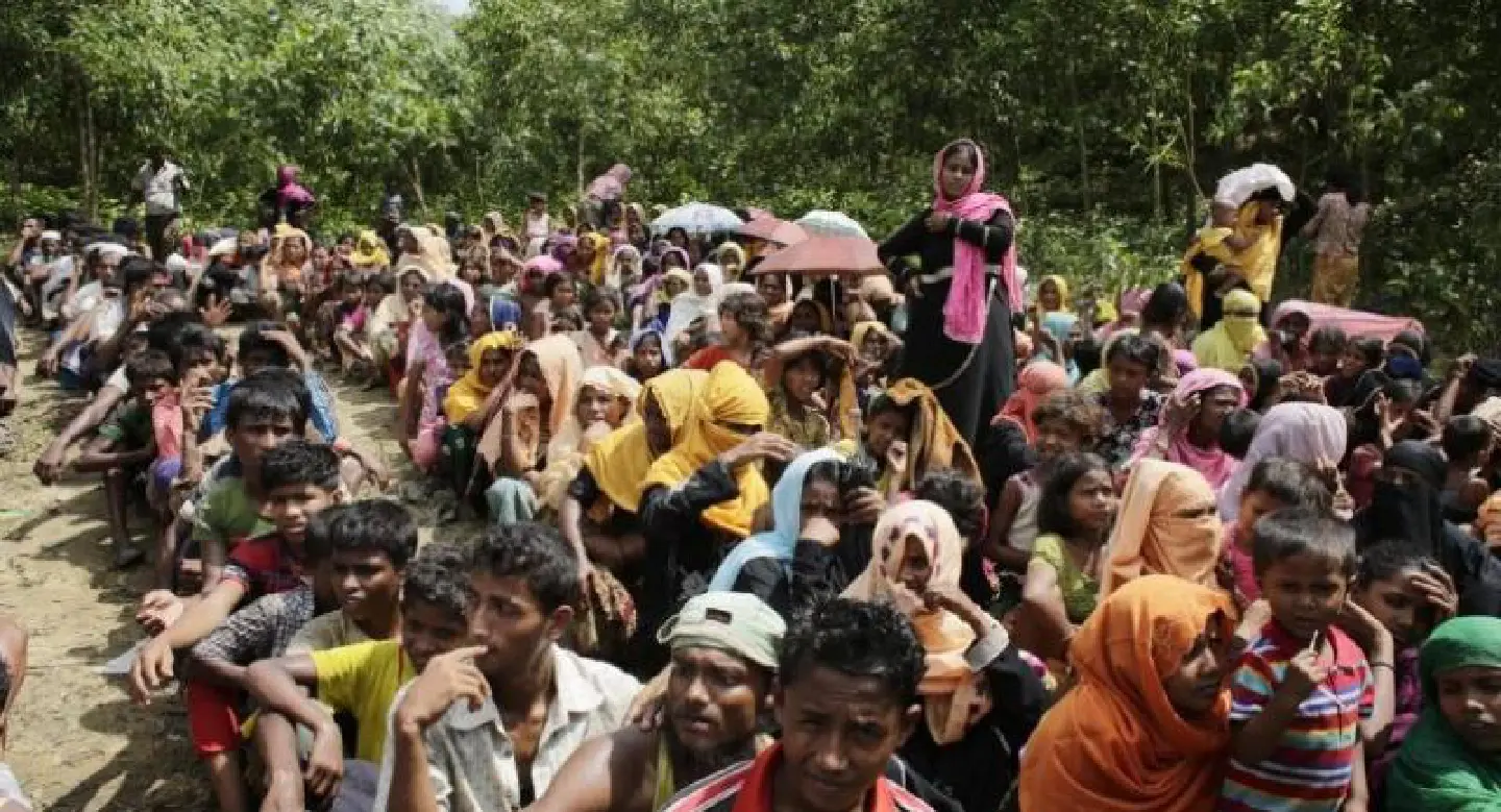 White House 'deeply troubled' by Rohingya crisis White House 'deeply troubled' by Rohingya crisis