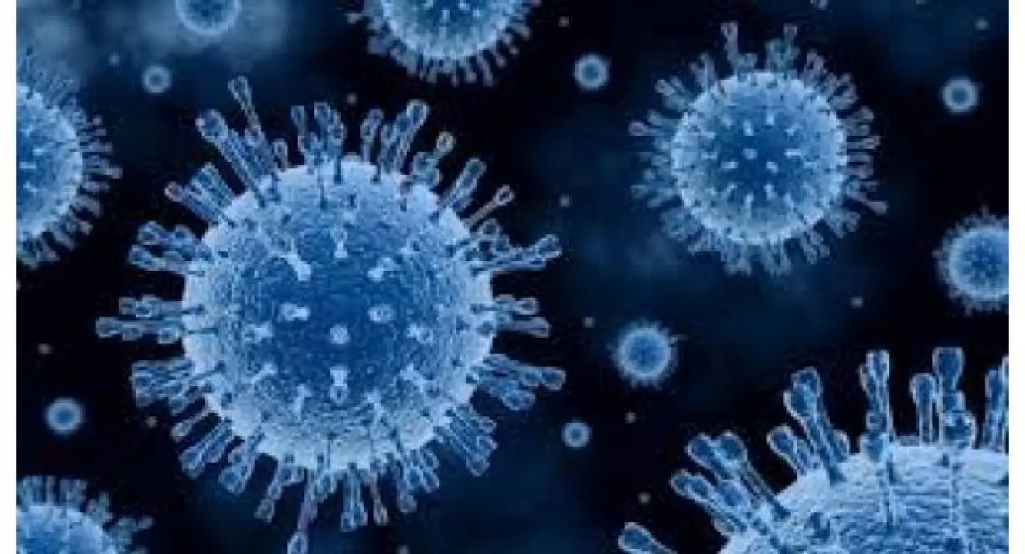 World lags badly on targets to slash TB, HIV, obesity: study World lags badly on targets to slash TB, HIV, obesity: study