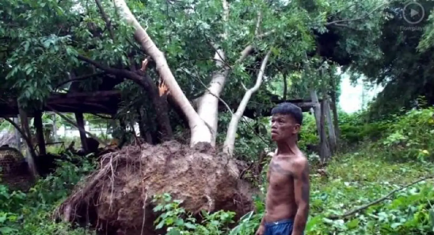 Fierce thunderstorm wreaks havoc in Chaiyaphum Fierce thunderstorm wreaks havoc in Chaiyaphum
