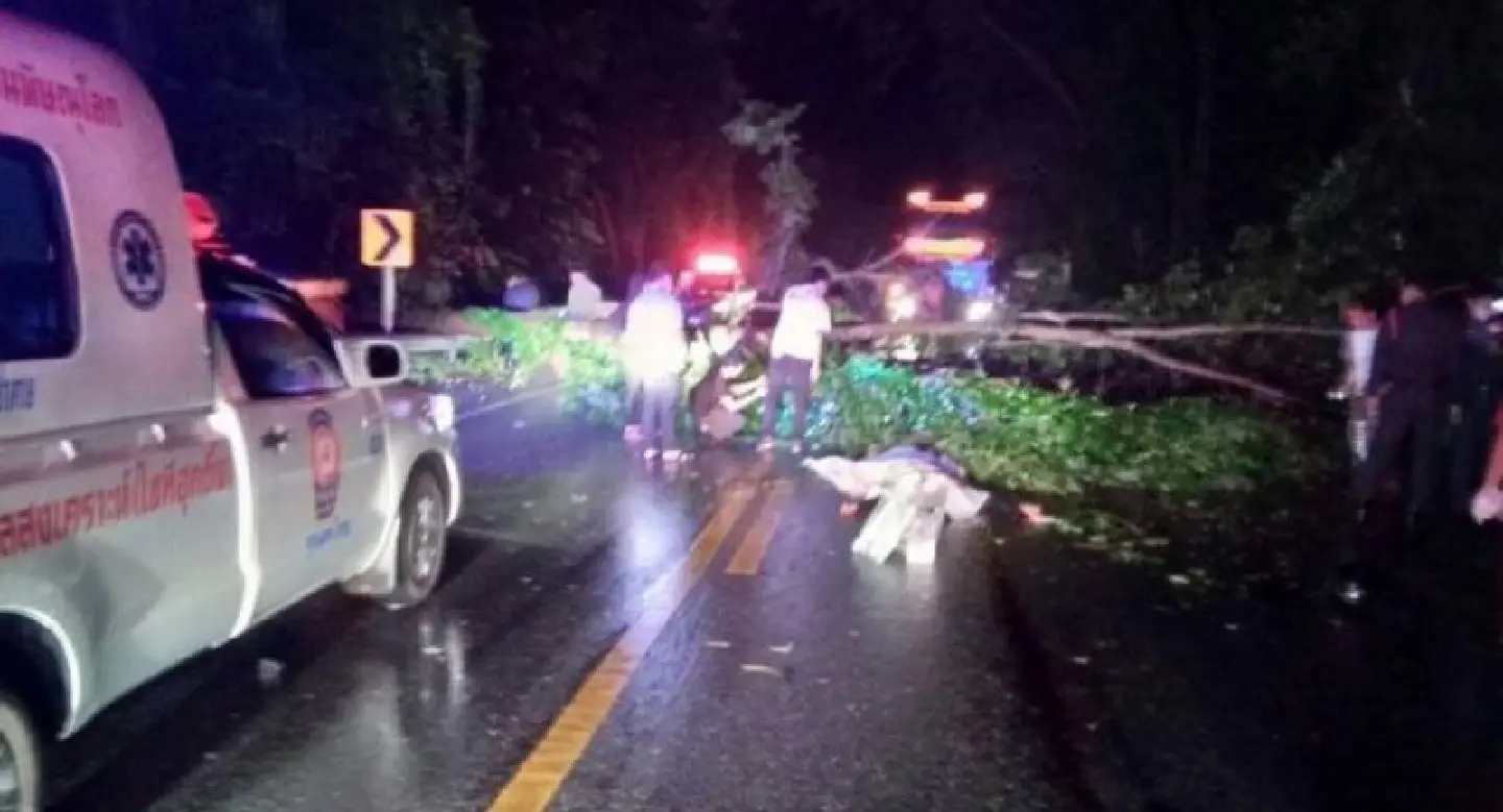 Man killed when tree falls on motorbike in Phitsnulok Man killed when tree falls on motorbike in Phitsnulok
