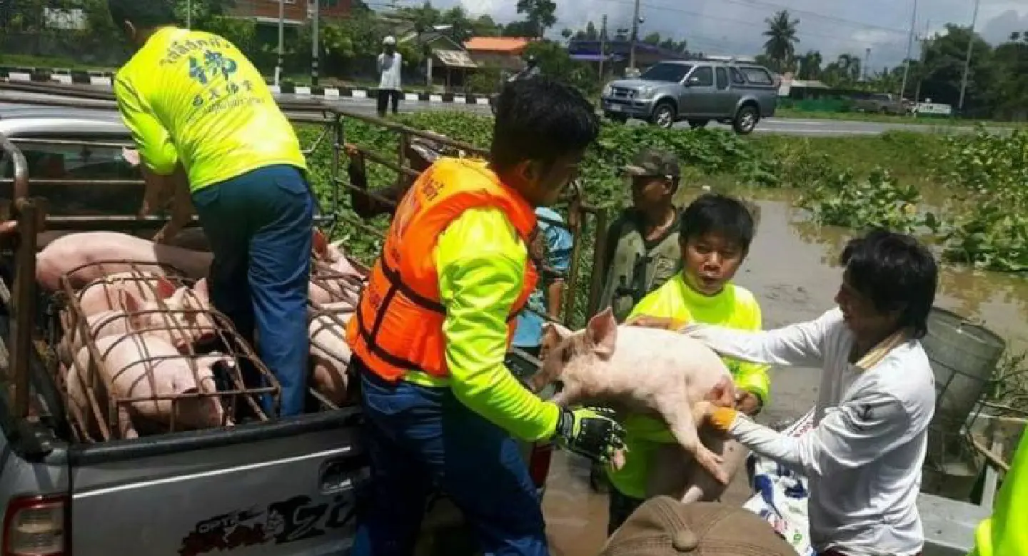 Phitsanulok district swamped as Wangthong River overflows Phitsanulok district swamped as Wangthong River overflows
