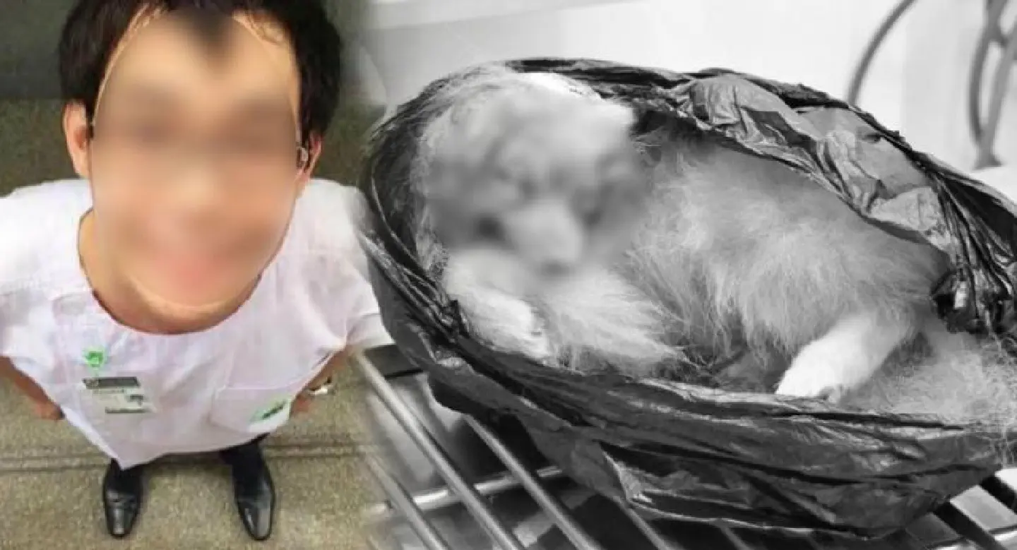Police set to charge student with animal cruelty for ‘poisoning’ dog Police set to charge student with animal cruelty for ‘poisoning’ dog