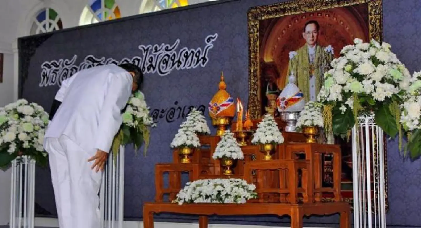 Phuket prepares 450,000 funeral wood flowers for the late King Bhumibol cremation Phuket prepares 450,000 funeral wood flowers for the late King Bhumibol cremation