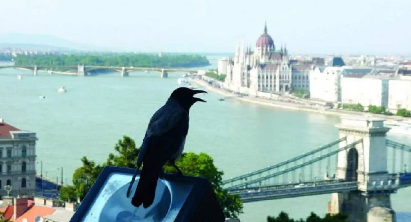 In Hungary, a ‘joyful sadness’