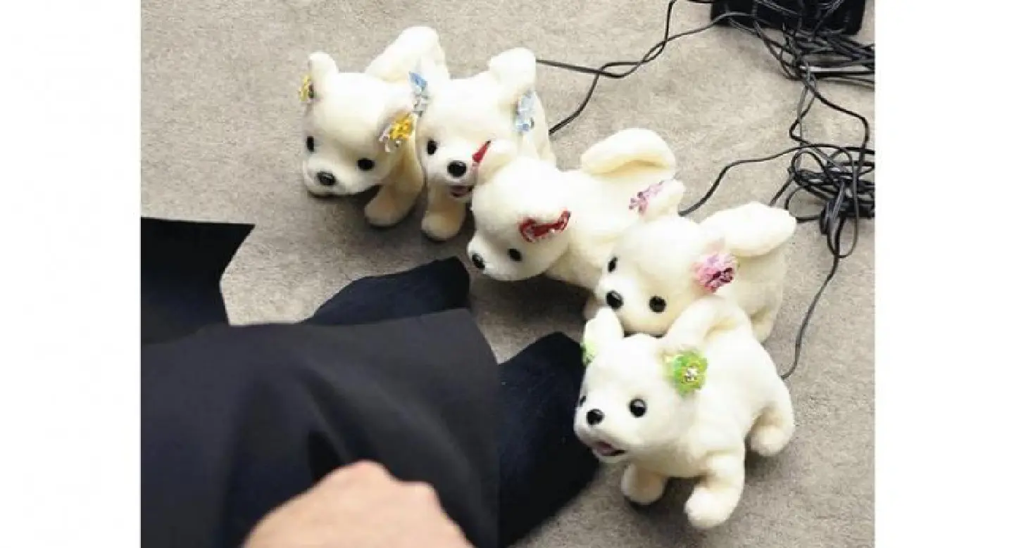 Robot dog determines how badly feet smell Robot dog determines how badly feet smell