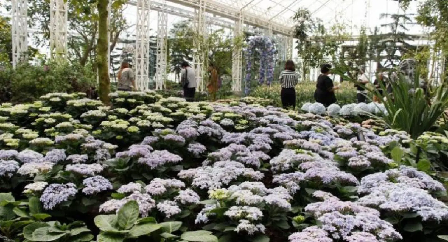 Gardens of sheer delight