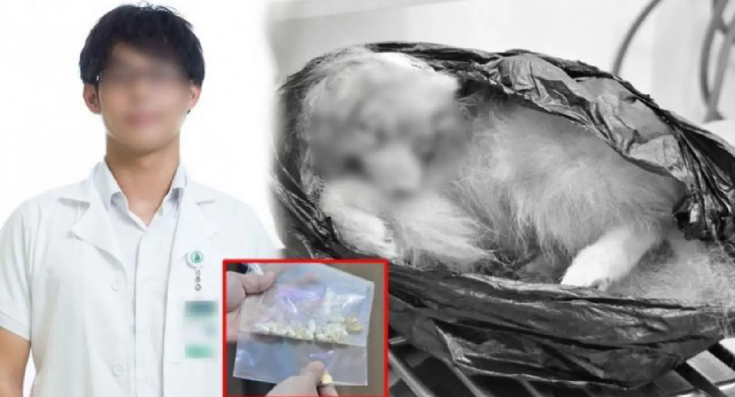 Medical student surrenders, ‘denies poisoning dog’