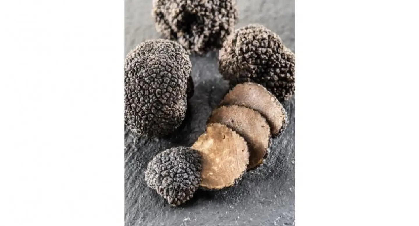 Attico bags truffles and game for autumn