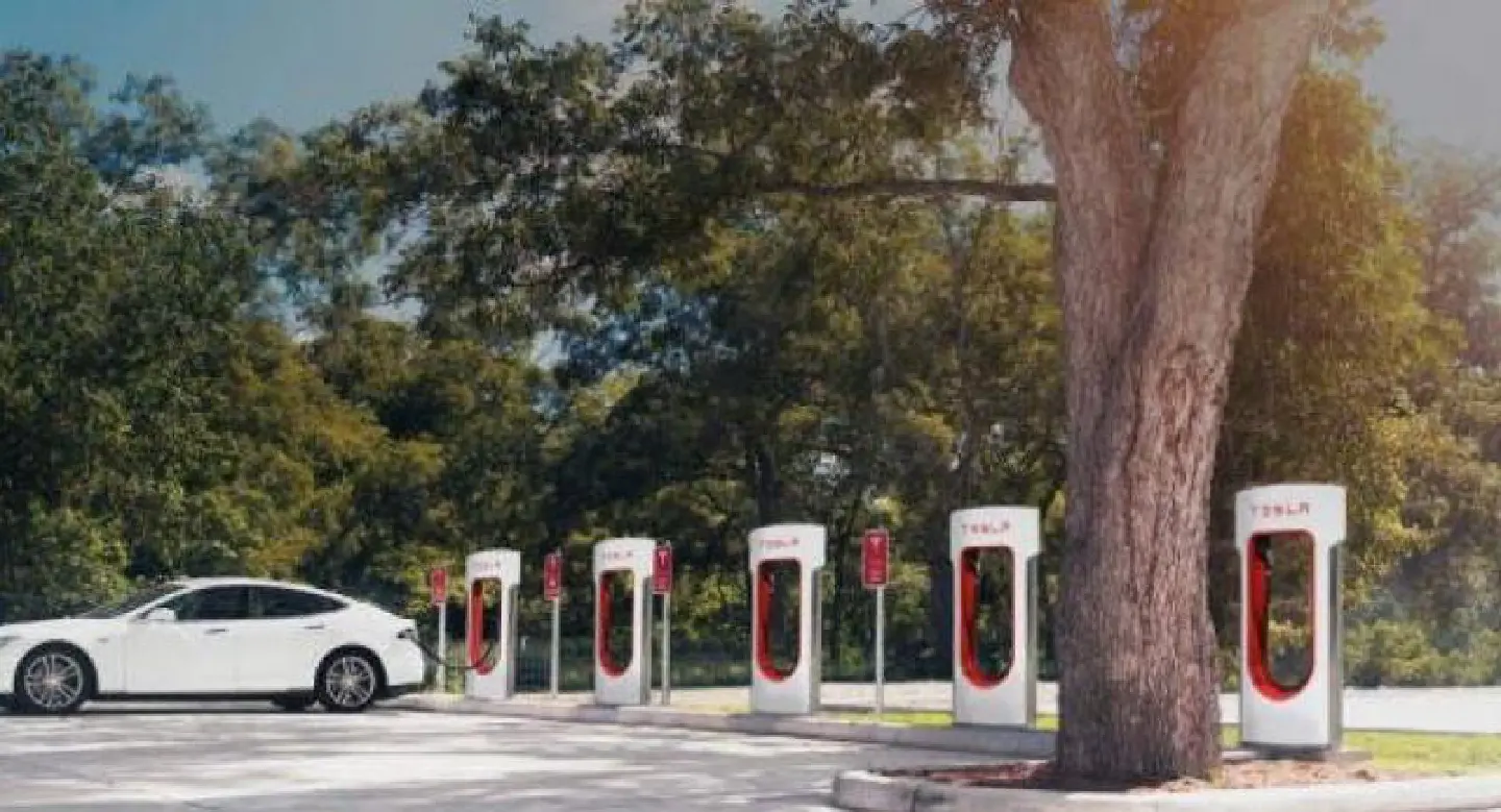 Tesla Korea poised to take over local EV market Tesla Korea poised to take over local EV market