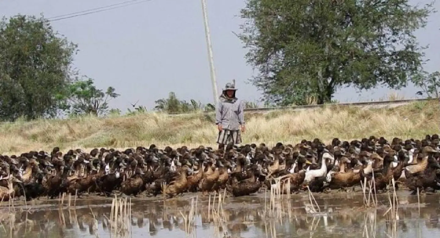 New water fees ‘threaten livelihoods’ New water fees ‘threaten livelihoods’