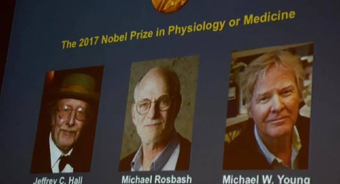 US biology trio wins Nobel Medicine Prize US biology trio wins Nobel Medicine Prize