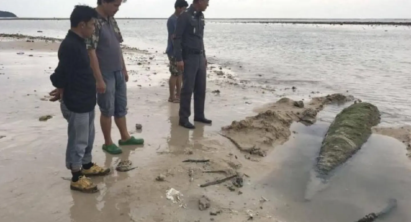 Phuket mystery visitor could be armed and dangerous Phuket mystery visitor could be armed and dangerous