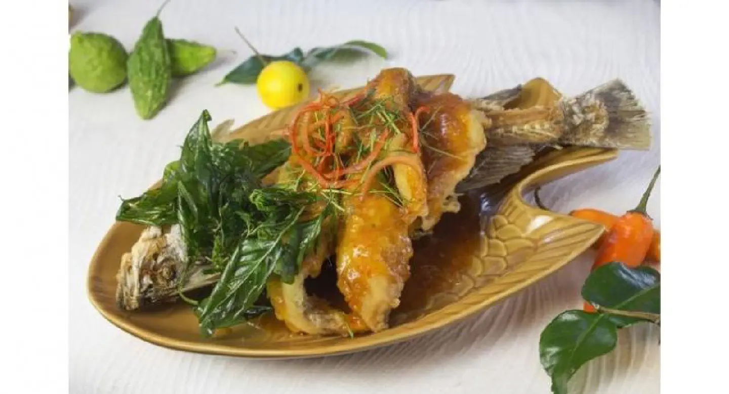 Gustatory journeys under one roof Gustatory journeys under one roof