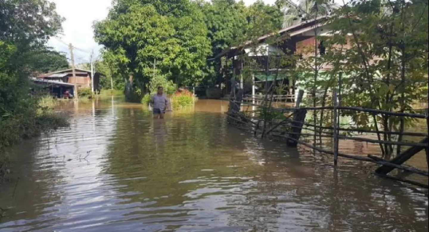 Pichit villages and farms flooded by mountain runoff Pichit villages and farms flooded by mountain runoff