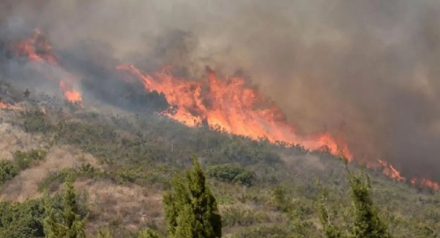 Thousands evacuate as California wildfires kill 10 Thousands evacuate as California wildfires kill 10