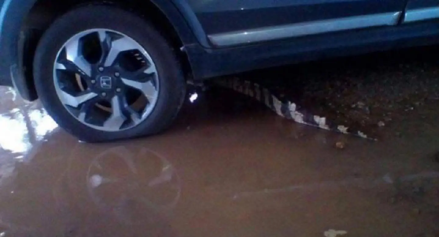 Farm owner in trouble over escape of crocodile Farm owner in trouble over escape of crocodile