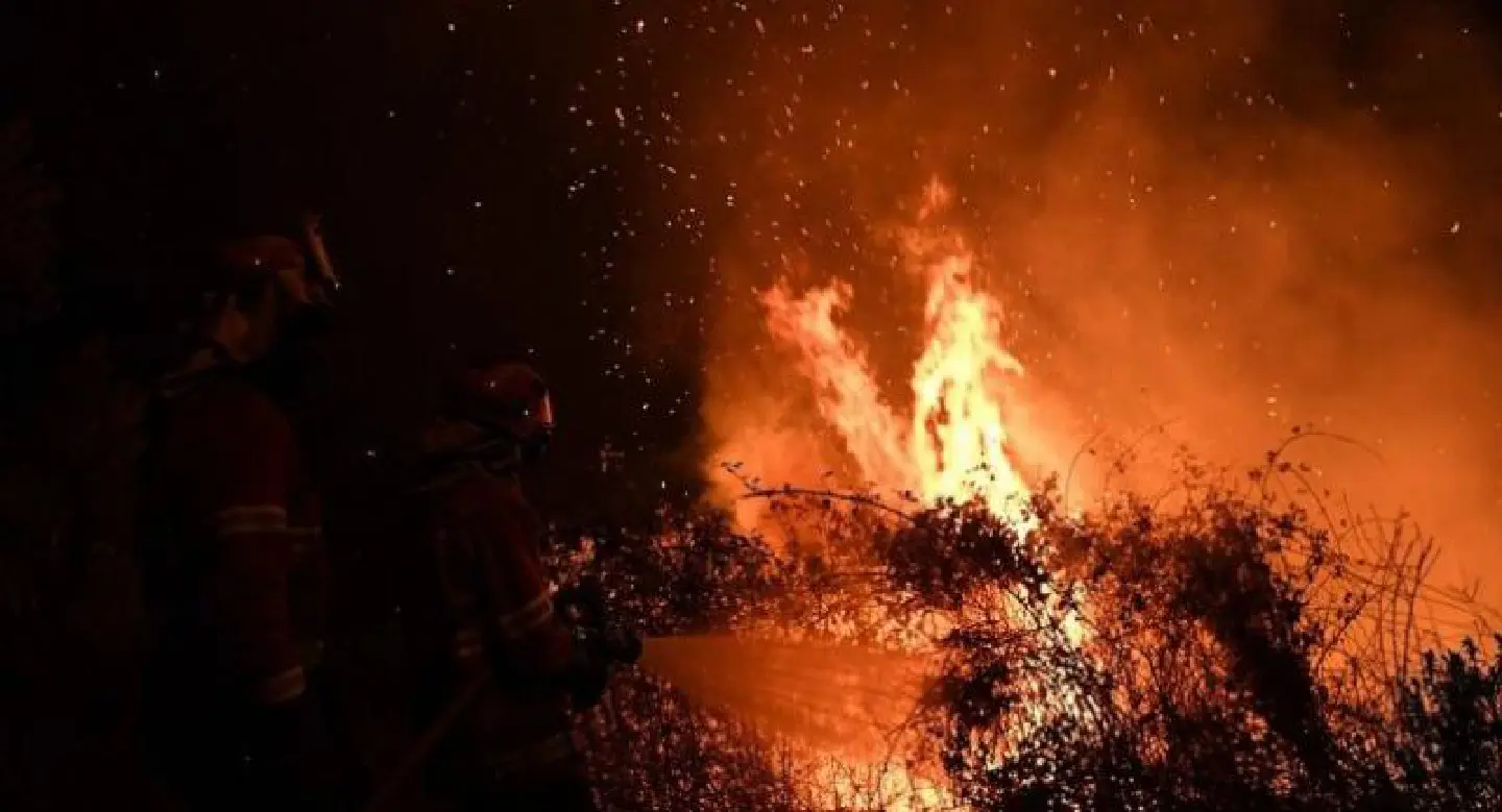 Wildfires kill 39 in Portugal and Spain Wildfires kill 39 in Portugal and Spain