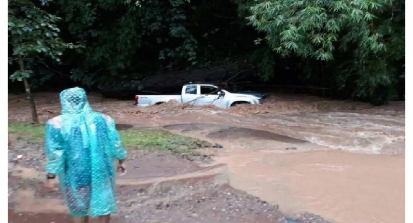 Wildlife sanctuary chief killed in flood Wildlife sanctuary chief killed in flood
