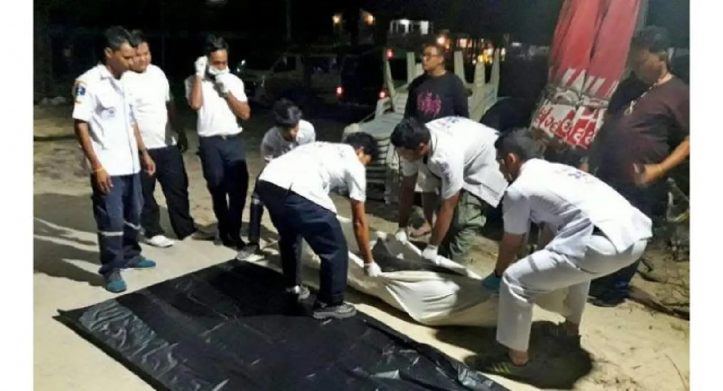 Young dolphin washes up on Kamala Beach Young dolphin washes up on Kamala Beach