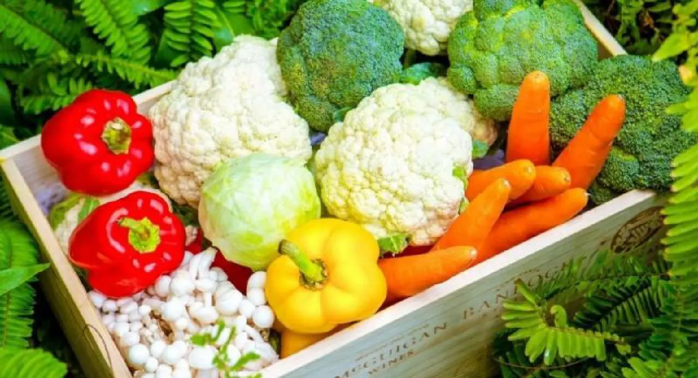 Meatless marvels