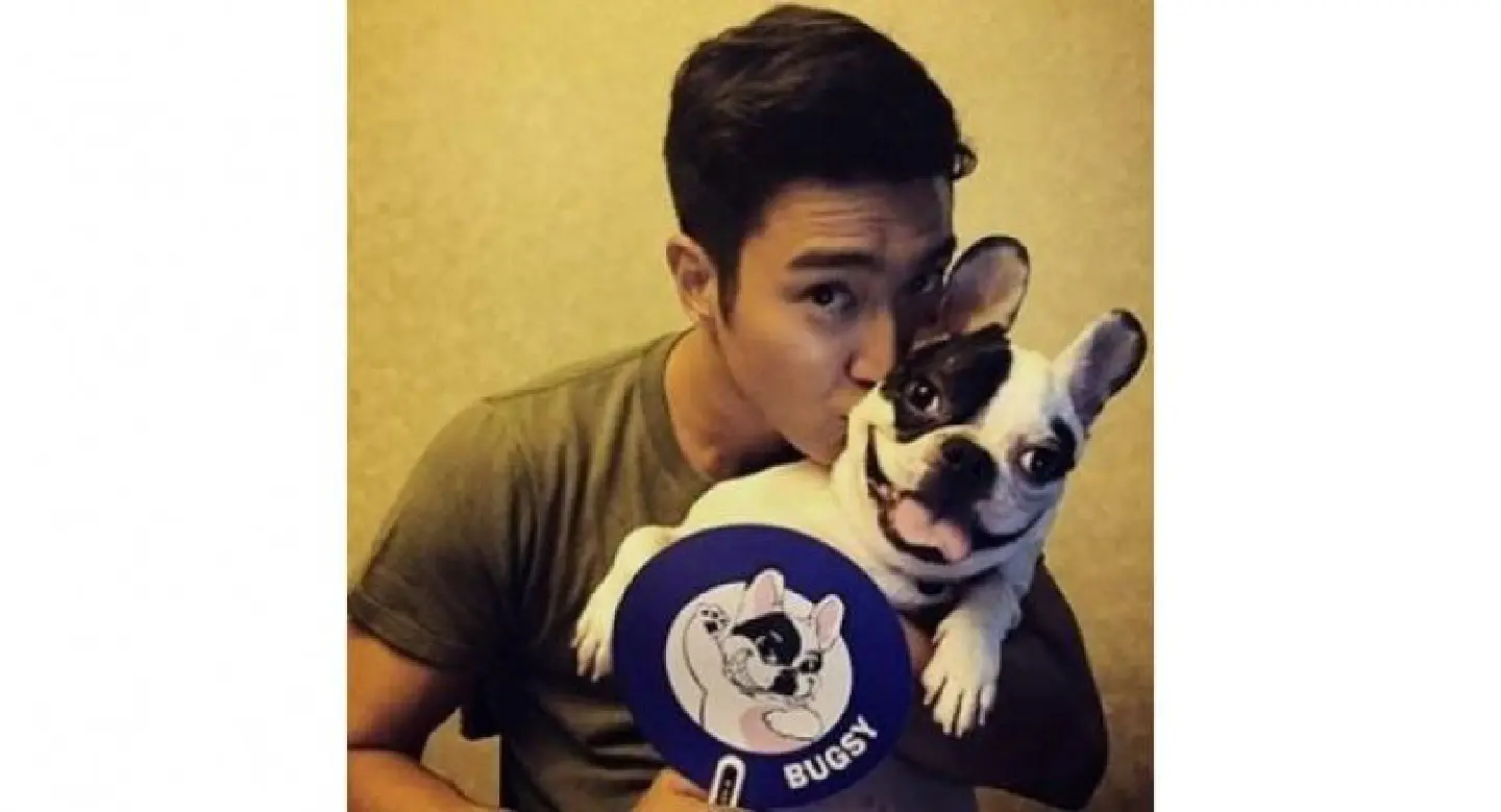 Netizens want Super Junior’s Siwon to quit show after dog bite death Netizens want Super Junior’s Siwon to quit show after dog bite death