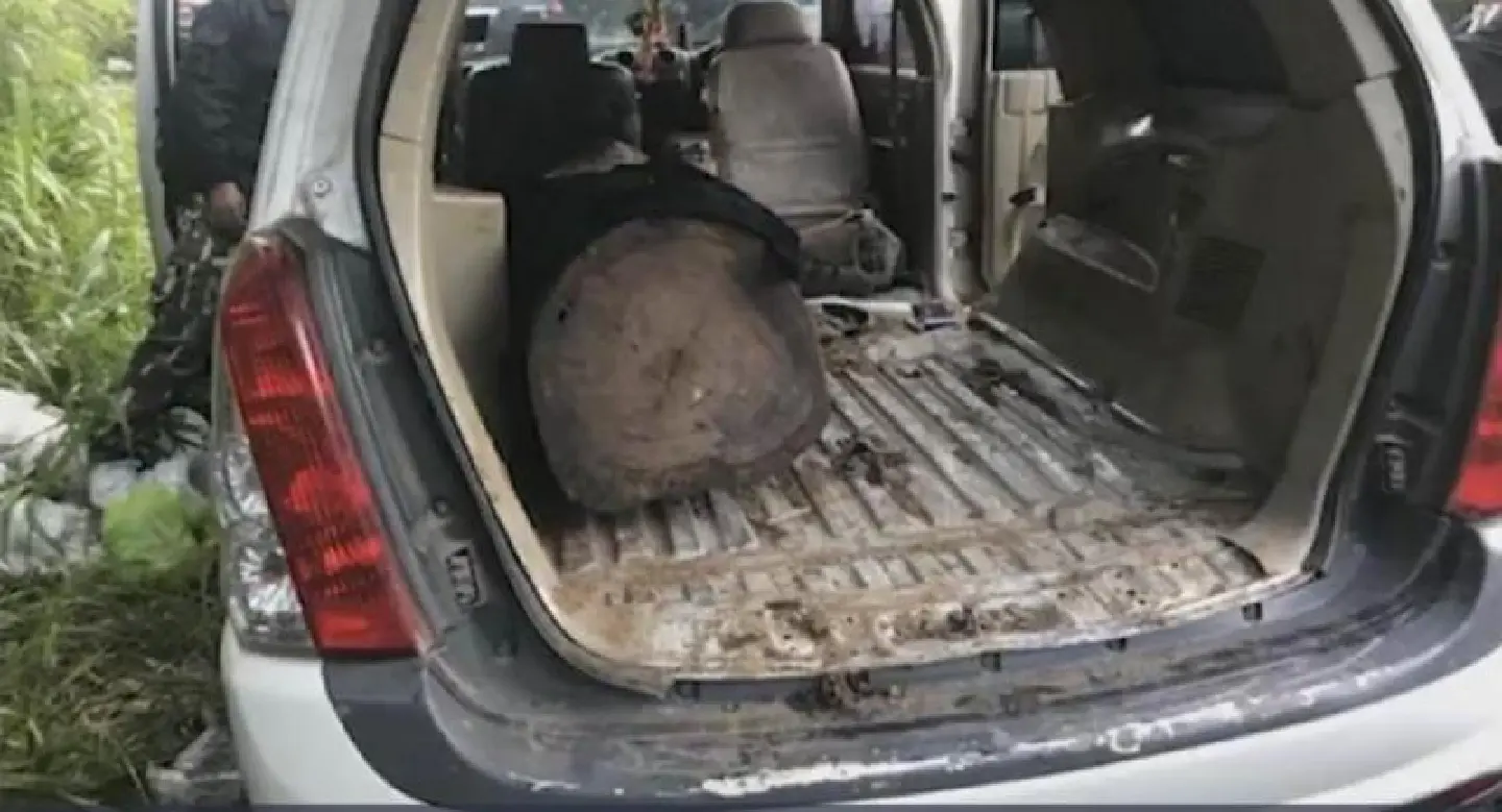 Illegal loggers open fire at park officials Illegal loggers open fire at park officials