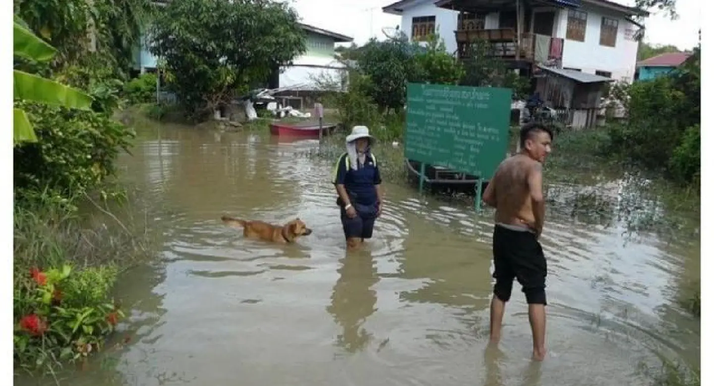 Kalasin braces for inundation as Chi River swells Kalasin braces for inundation as Chi River swells