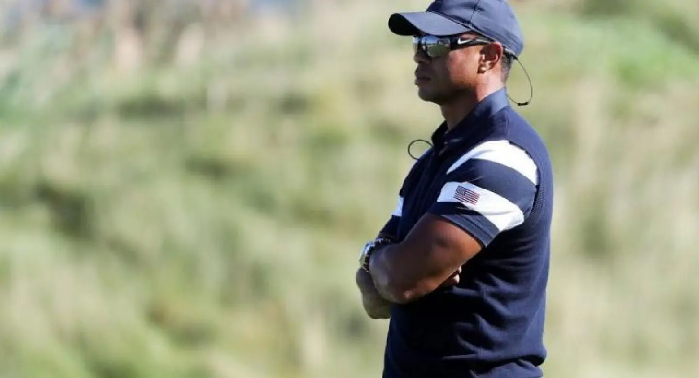Golf: Tiger heralds 'Return of the Stinger' in tweet Golf: Tiger heralds 'Return of the Stinger' in tweet