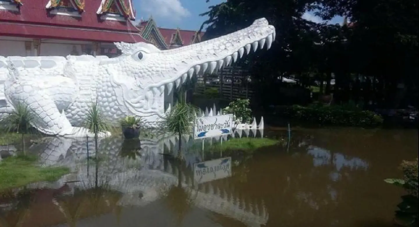 Residences, tourist site in Phichit hit as Yom overflows Residences, tourist site in Phichit hit as Yom overflows